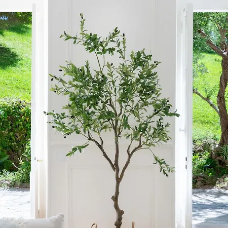 Garden-level In Bourgeois Near Croisette & Beaches * Cannes